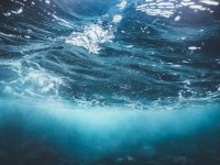Subnautica 2 lanceert met co-op na een jaar bedrijfsdrama